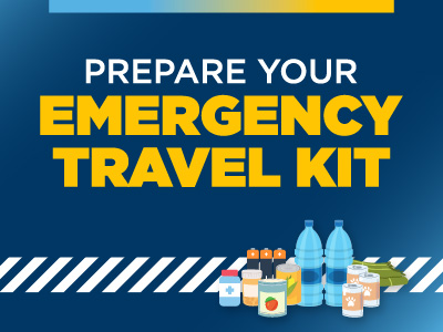 Emergency Travel Kit